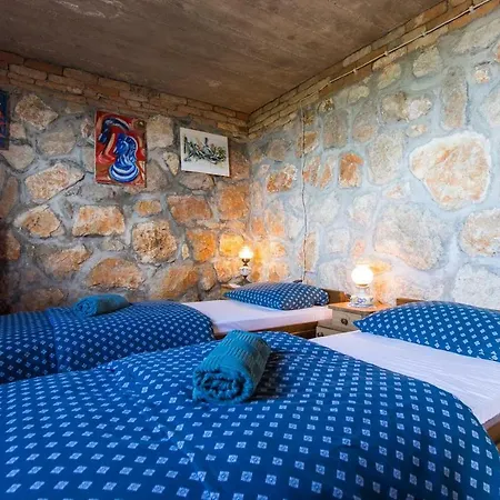 The View 모슈체니체