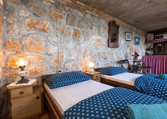 The View * 莫什奇尼策