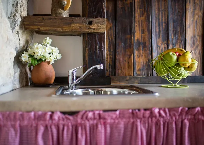 The View * 莫什奇尼策